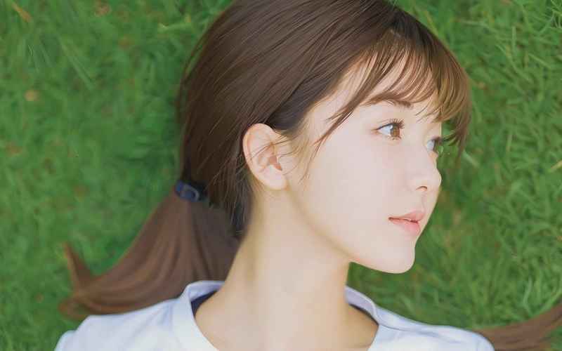 《林北苏婉小说全本免费阅读完整版在线畅读》
