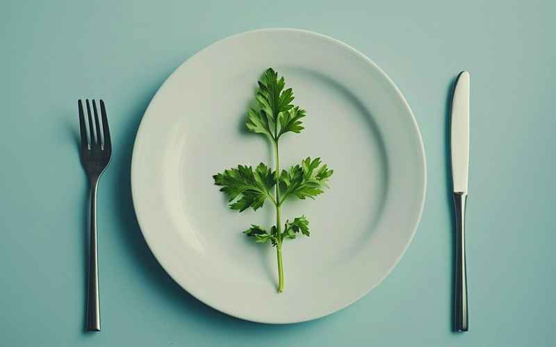 轻断食科学减重法：健康瘦身的正确打开方式